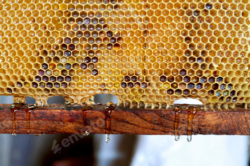 Preview: Dripping honeycombs, backdrop of running honey, patterns & shapes in yellow golden colours.