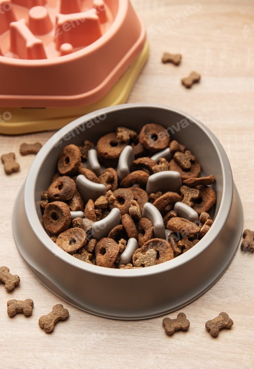 Preview: Slow feeder dog bowls preventing gulping and improving digestion