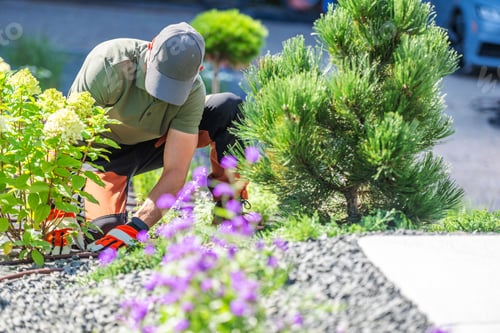 Preview: Man Gardening in a Colorful Landscape on a Sunny Day