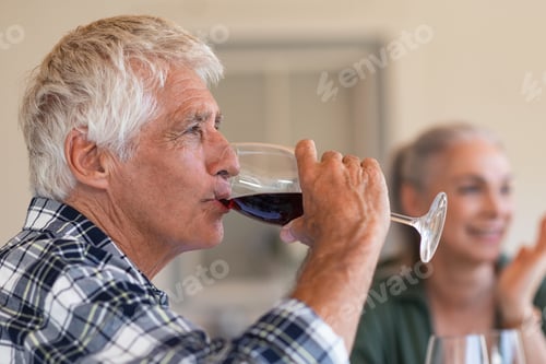 Preview: Senior man drinking red wine with friends