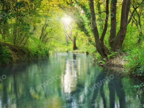 Preview: River deep in forest.