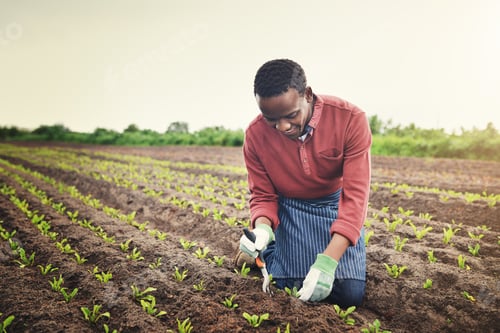 Preview: Every time you buy organic, youre persuading more farmers to grow organic