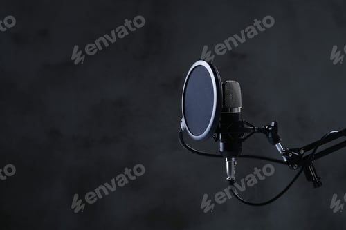 Preview: Microphone