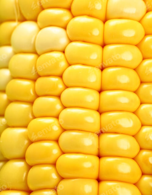 Preview: corn