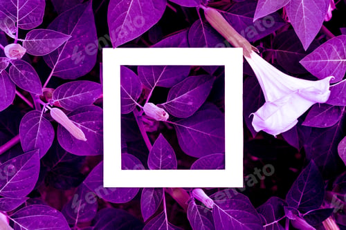 Preview: creative layout of exotic tropical neon leaves with white abstract square frame design with copy spa