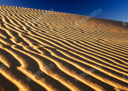 Preview: dunes