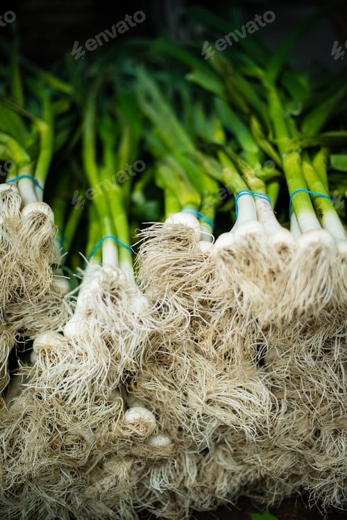 Preview: Farmer's market - scallions