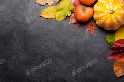 Preview: Autumn background with colorful leaves