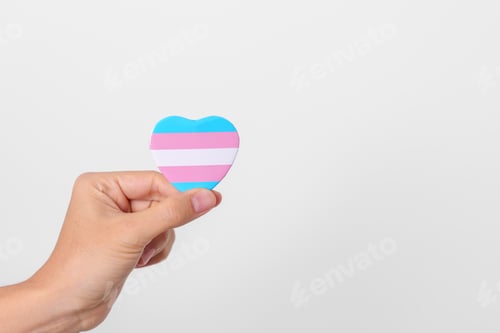 Preview: Transgender Day and LGBT pride month, LGBTQ+ or LGBTQIA+ concept. hand holding blue