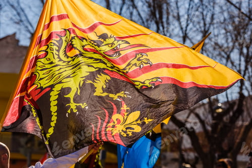 Preview: Flags of the brotherhood of Sbandieratori Di Fivizzano parading in a medieval festival.