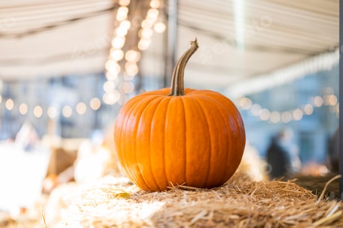 Preview: orange vegetable pumpkin for halloween hay hay