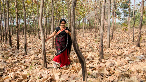 Preview: Happy Indian woman enjoying nature in forest