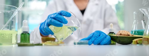 Preview: Natural organic green botany laboratory with scientific glassware, Alternative herb medicine care
