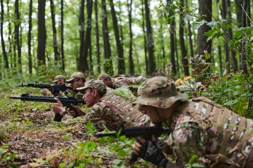 Preview: Elite soldiers stealthily maneuver through the dense forest, camouflaged in specialized gear, as
