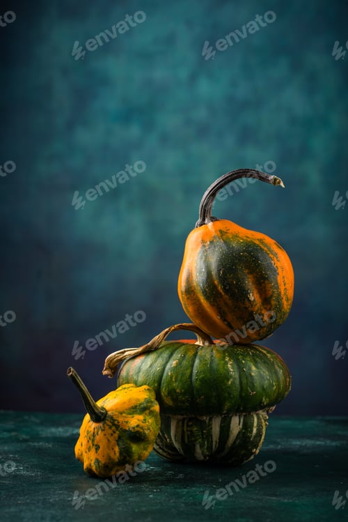 Preview: Various decorative pumpkin on green background