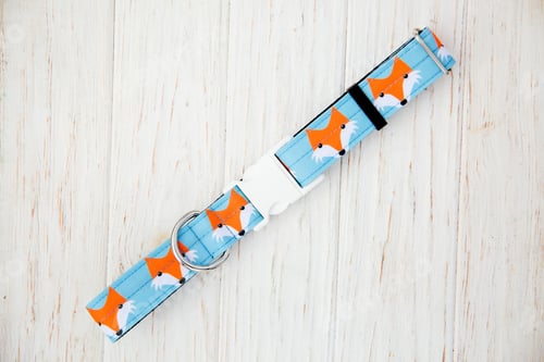 Preview: Dog Collar and Leash set. Pet Supplies and Walking Gear Collection
