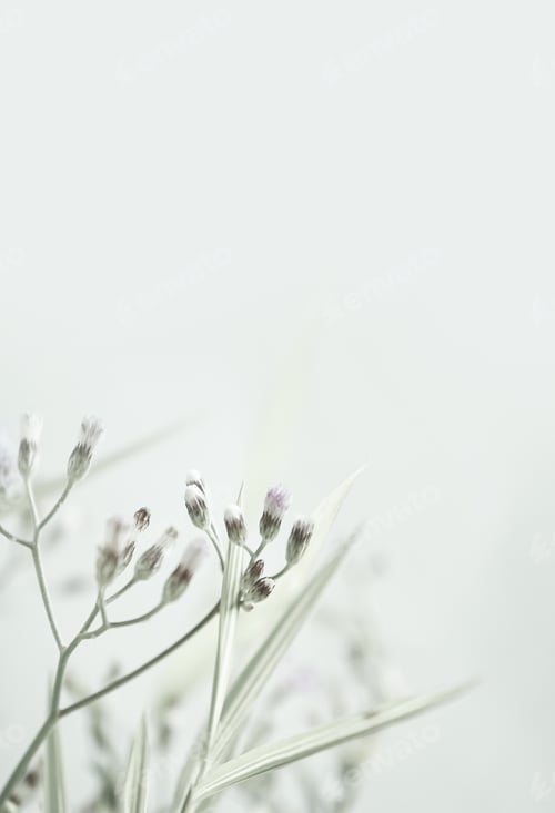 Preview: Weed Flowers In Vintage Color Style