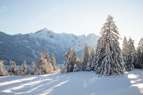 Preview: winter mountain landscape in the Alps with snow covered fir trees