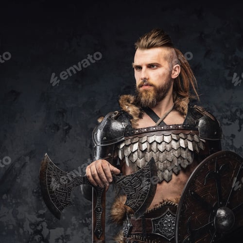 Preview: Bearded Viking warrior dressed in fur and light armor