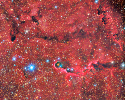 Preview: Elephants Trunk Nebula