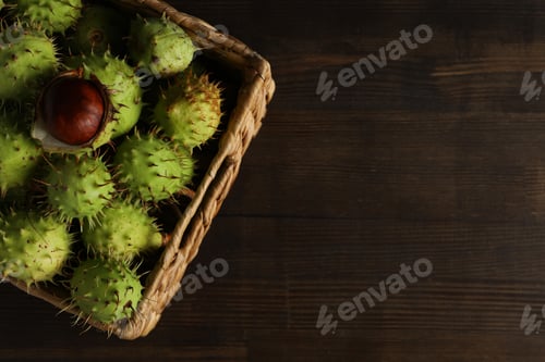 Preview: Green chestnut fruits in a wicker basket on a dark background