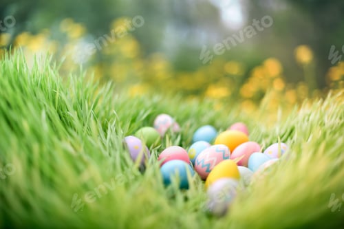 Preview: preparation, easter eggs, coloured, colours