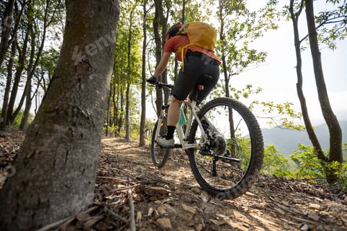 Preview: Woman riding bike on mountain top forest trail
