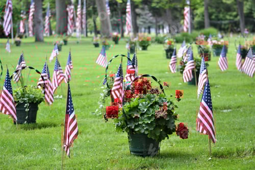 Preview: Flags and Flowers Decorating a Park