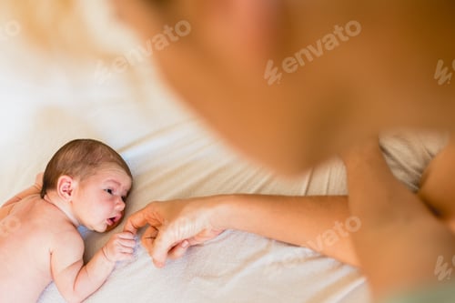 Preview: Newborn Baby Lying on a Blanket with Hand