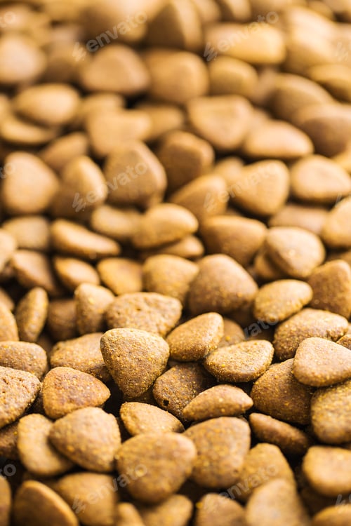 Preview: Dry kibble dog food.