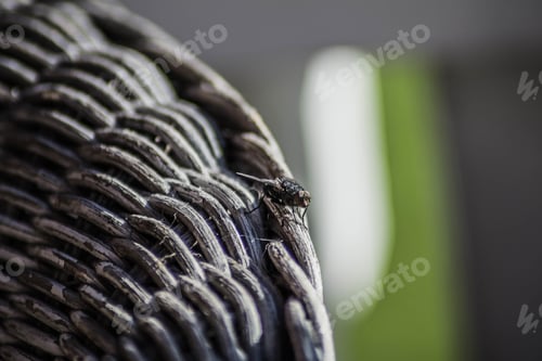Preview: Selective focus shot of a wooden basket on a green background