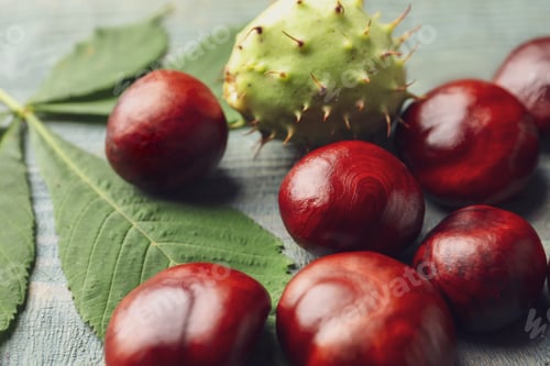 Preview: Many horse chestnuts and leaf on blue wooden table, closeup