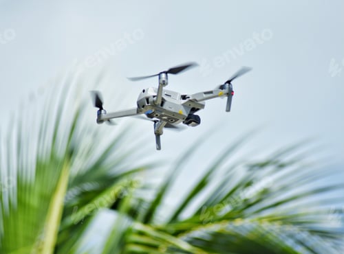 Preview: Drone in photographic flight over a tropical palm tree