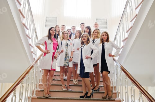Preview: Group of young doctors in white coats posing in the hospital.