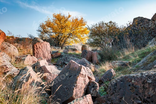 Preview: Beautiful yellowed vegetation and stones covered with lichen and moss in the Carpathian hills in