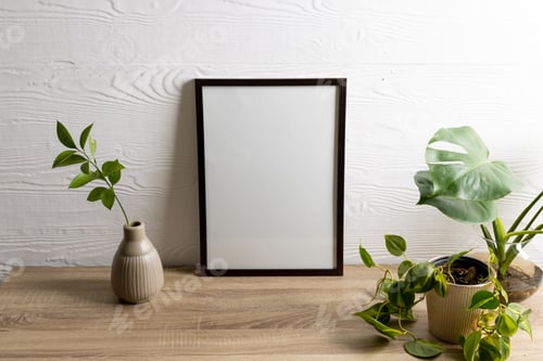 Preview: Black empty frame with copy space and plants in pots on table against white wall