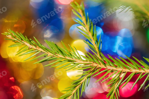 Preview: Green Xmas Pine Tree Branch with Needles on Background Colorful Christmas Ornament Bokeh