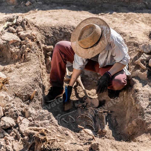 Preview: Ancient Burial Site- Archaeological Excavations