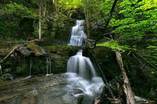 Preview: Waterfall In The Woods