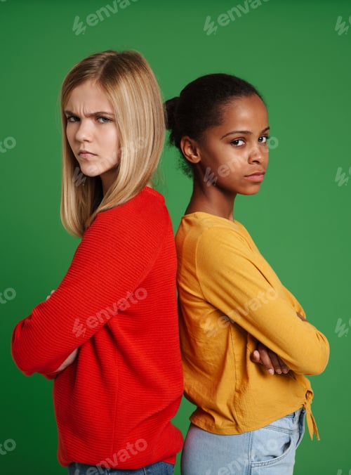 Preview: Multiracial two girls posing back to back on camera