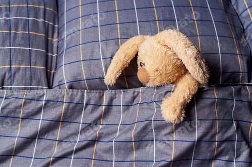Preview: Stuffed rabbit in bed