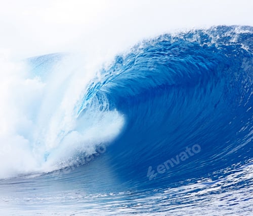 Preview: Fresh Wave