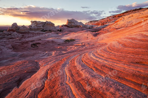 Preview: A Walk Through Mars Also Known As White Pocket Arizona