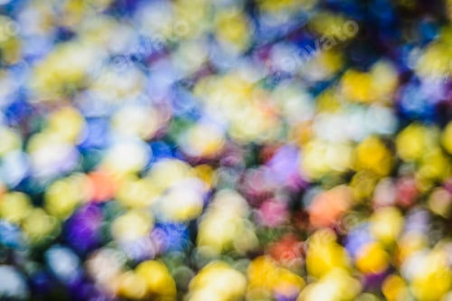 Preview: Background Beautiful Nature- Repetition Of Blurred Natural Elements Of Color And Abstract Forms.