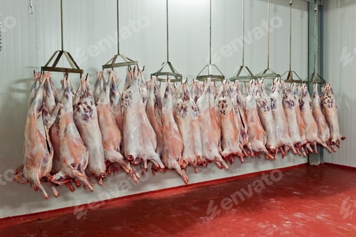 Preview: Slaughter house