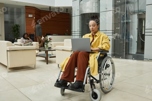 Preview: Person in a wheelchair using a laptop