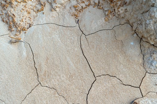 Preview: Dry cracked soil