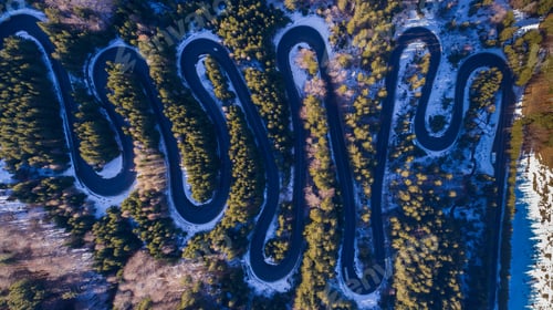 Preview: curved road trough the forest
