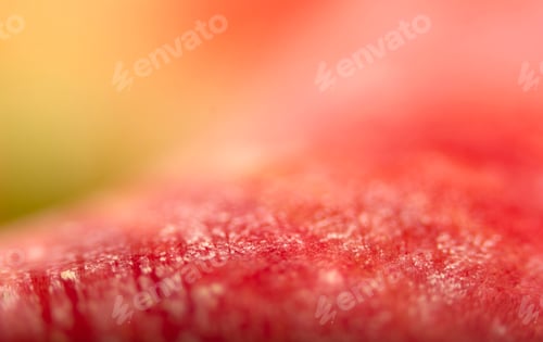 Preview: Colorful background texture. Abstract texture background.
