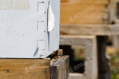 Preview: Beekeeping